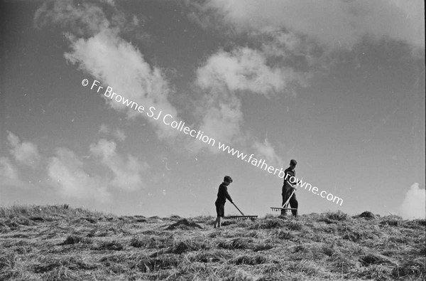 TEELIN ROAD   HAYMAKING